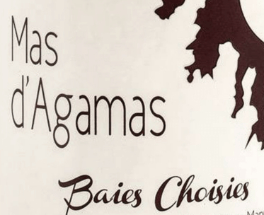 Logo Mas Agamas